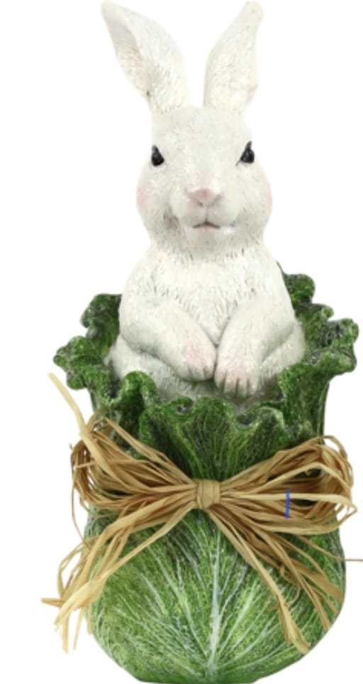 rabbits in cabbage cabbunny 2