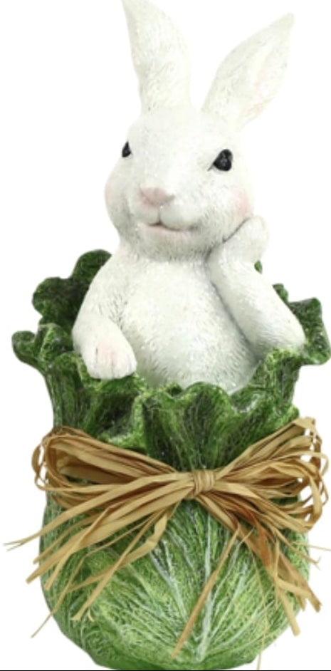 rabbits in cabbage cabbunny 1