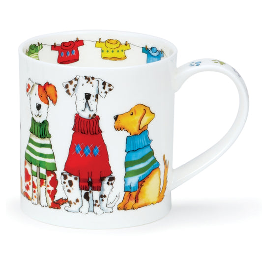 ORKNEY TRENDSETTERS DOG