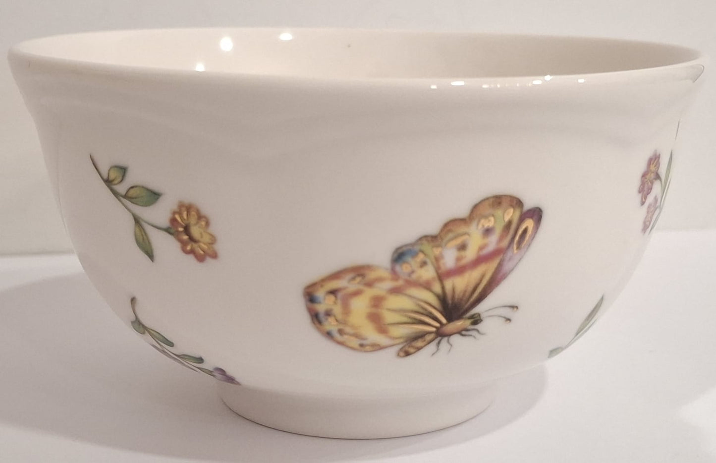 Small bowl insect set 4