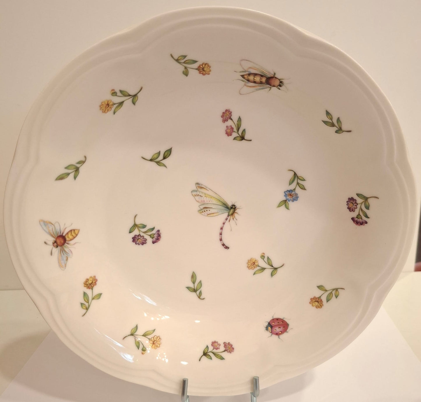 Soup plat insect