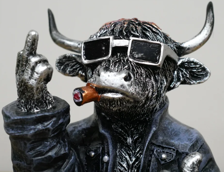 NAUGHTY HGHLAND COW