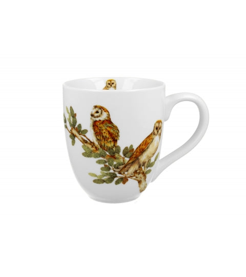 BARN OWL