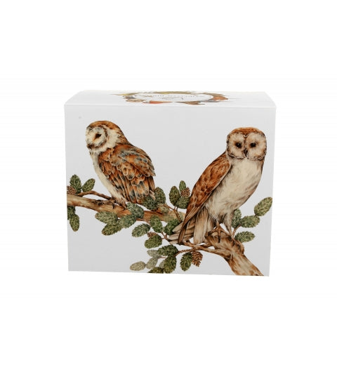 BARN OWL
